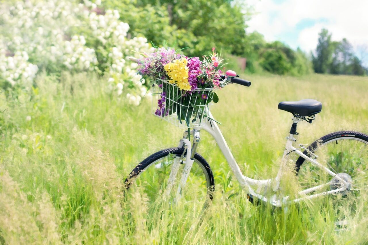 Fahrrad auf Wiese