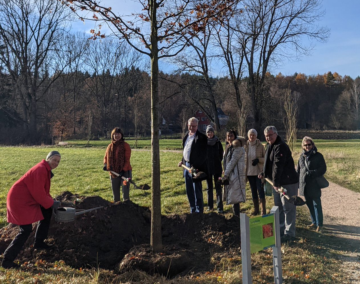 Eine Gruppe von Menschen pflanzt einen großen Baum.