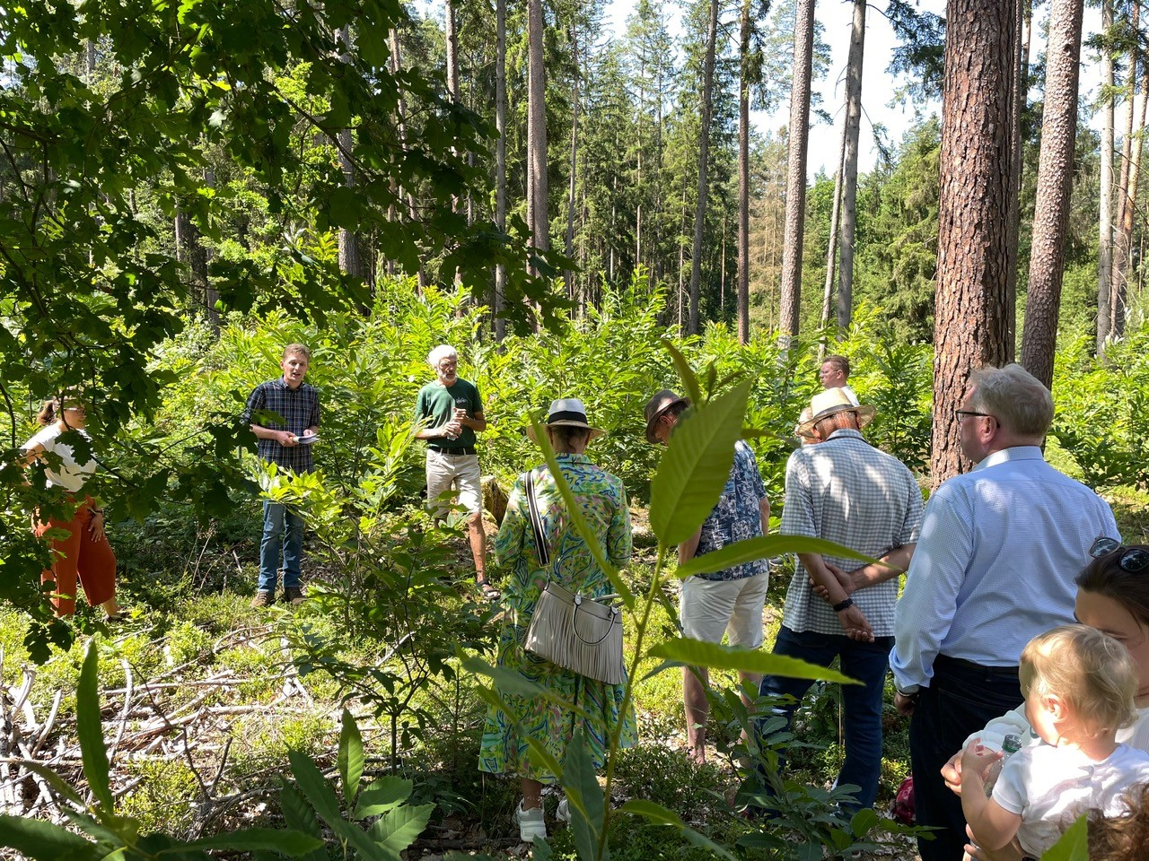 Eine Gruppe von Menschen steht auf einer Lichtung im Wald. | Foto: M. Hohl