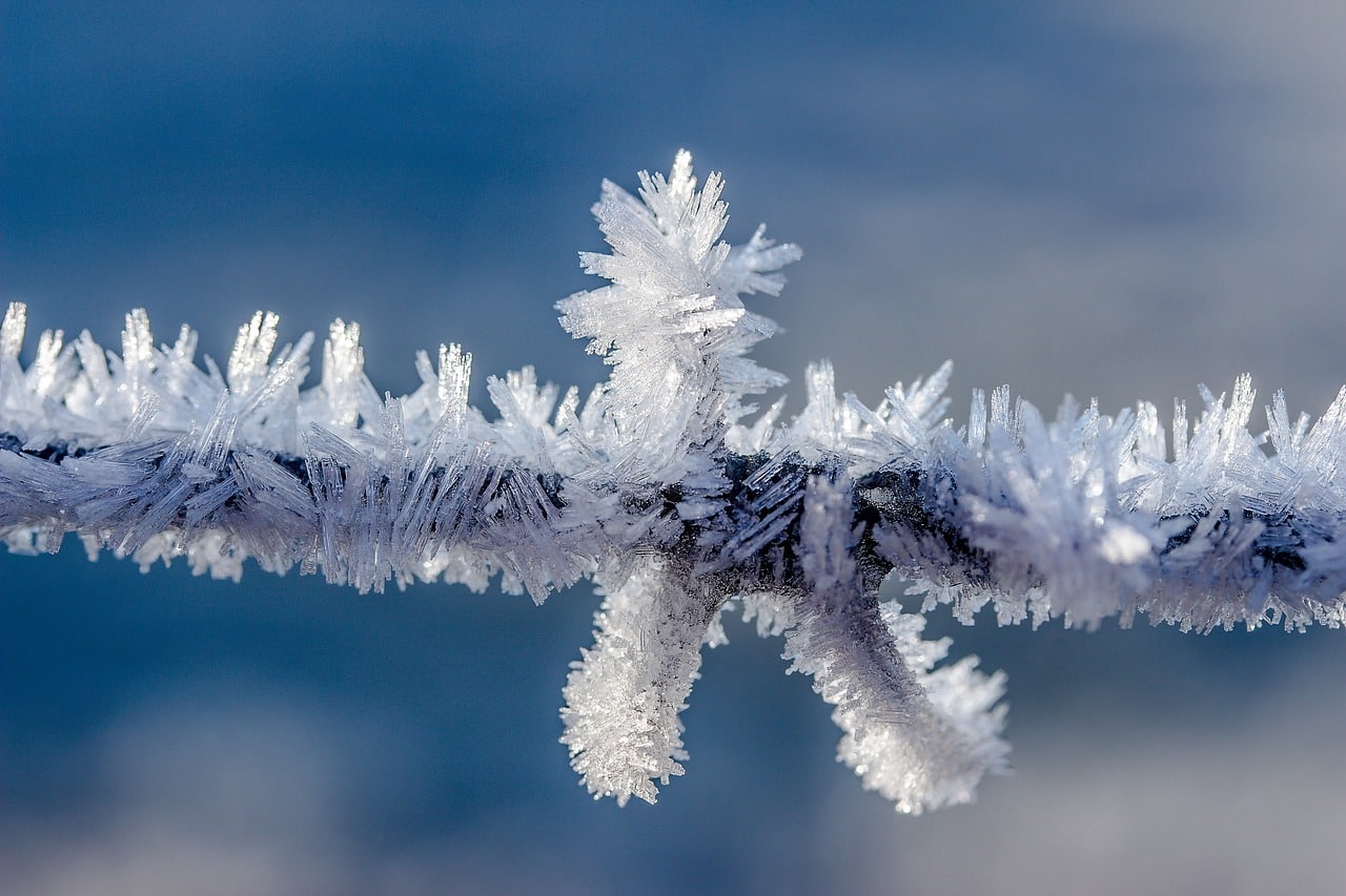 Eiskristalle an einem Stacheldraht | Foto: Pixabay