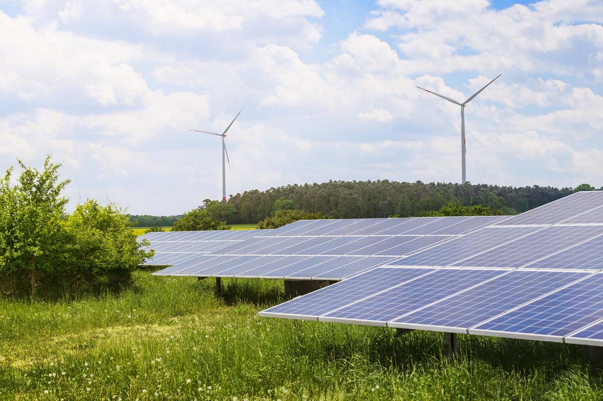 Solarmodule auf einer grünen Wiese. | Foto: Stefan Klingenberger