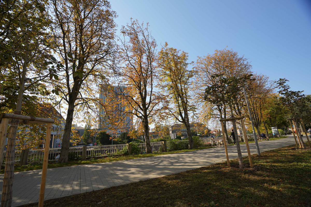 Das Neue Rathaus der Stadt Bayreuth im Herbst